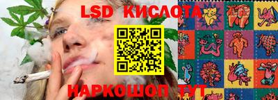 соль ск Новокубанск