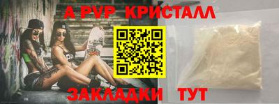 СК Новозыбков