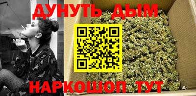 СК Новозыбков