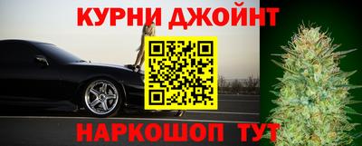 СК Новозыбков