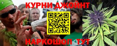 СК Новозыбков