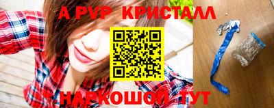 СК Новозыбков