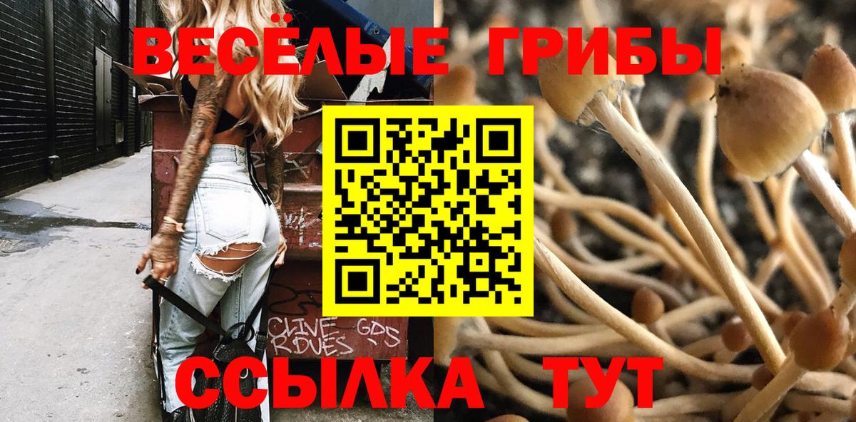 Галлюциногенные грибы Magic Shrooms Серов