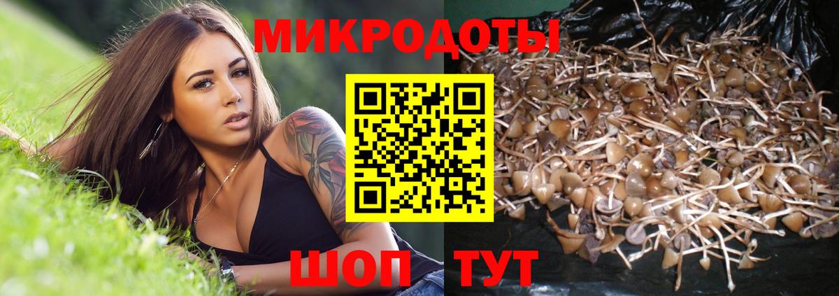 Серов  Псилоцибиновые грибы прущие грибы  Вход с VPN  Псилоцибиновые грибы ЛСД 